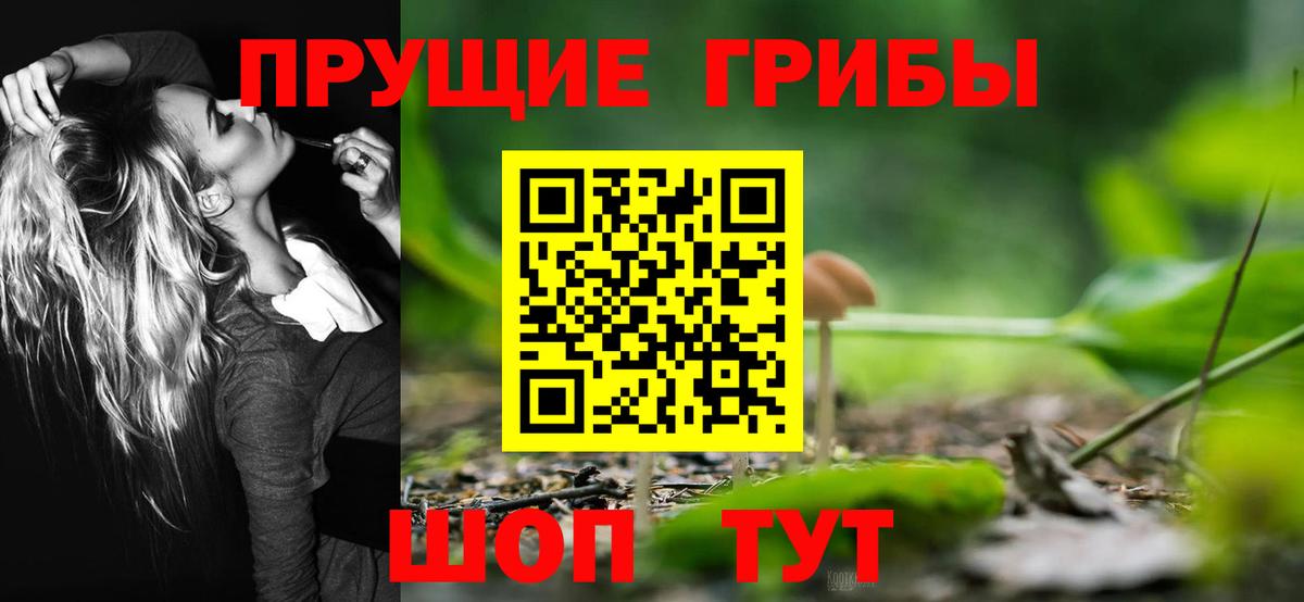 Псилоцибиновые грибы GOLDEN TEACHER  Вход с VPN  Можайск 